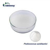 Concentrație mare de Pediococcus Acidilactici